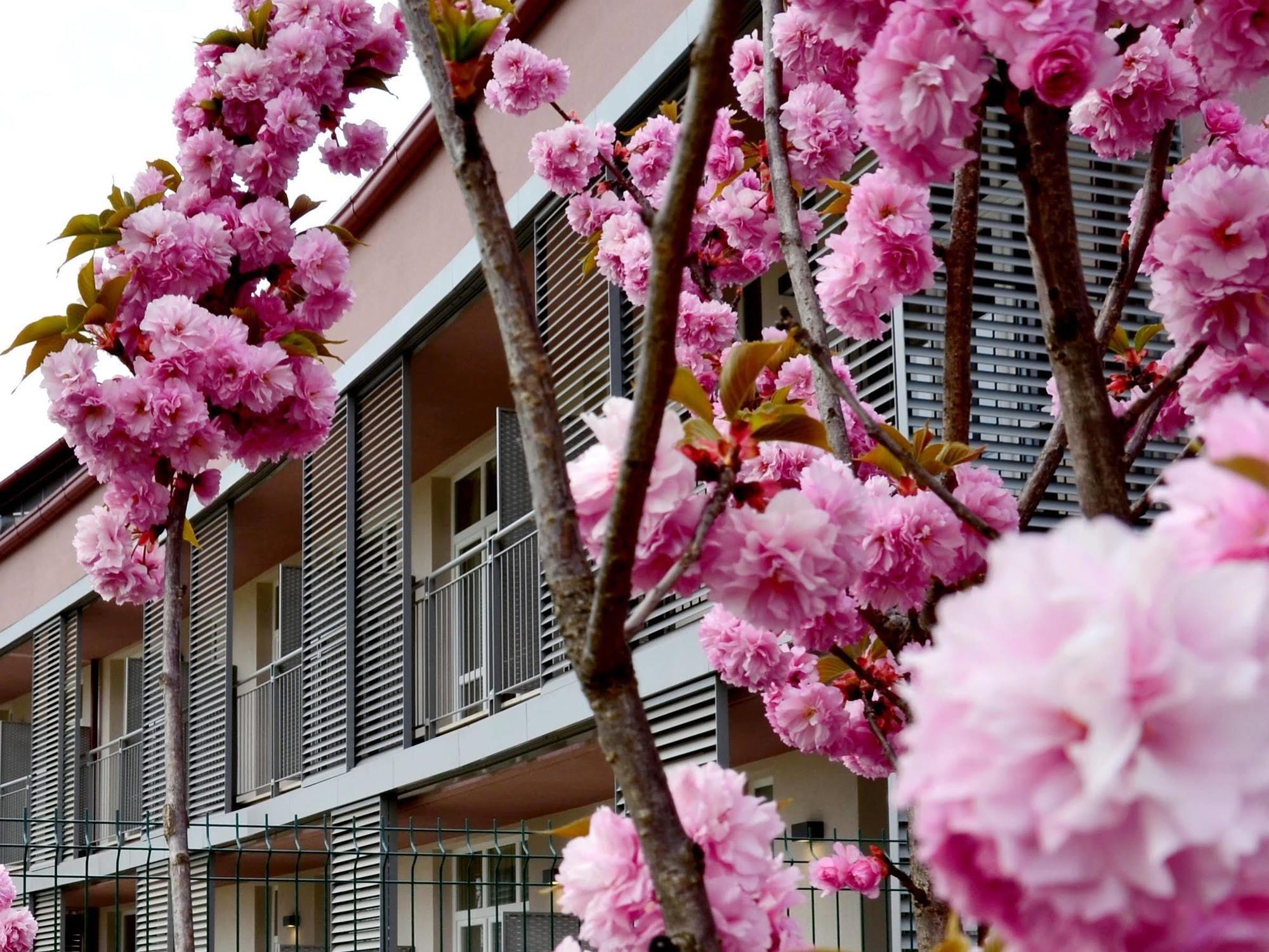 Privilege Apartments Vimercate Ngoại thất bức ảnh